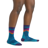 Darn Tough 1067 Mirnavated Micro Crew Ultra-Lightweight with Cushion Running Sock - Women's